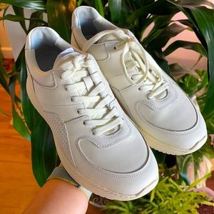 Everlane - W9.5 Everyday White Sneakers